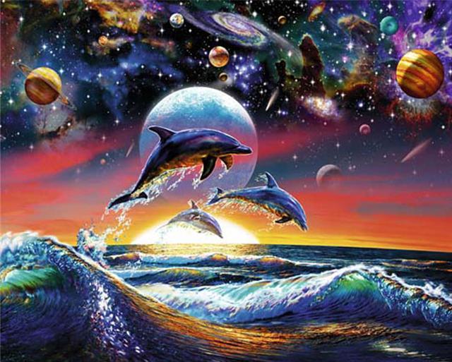 Dolphin Universe 